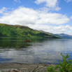 View At the side of Loch Lomond