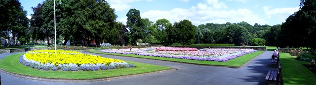 Summer flower beds in the park